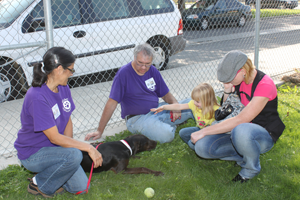 Volunteers at Kern County Animal Services