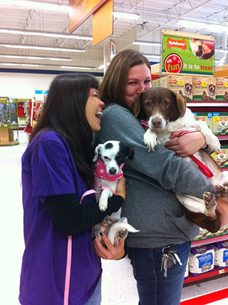 Kern County Animal Services Volunteers