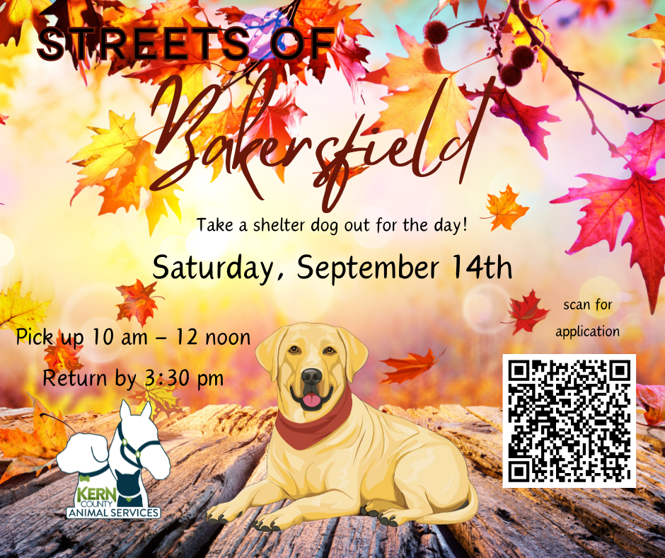 Upcoming Adoption Events | Animal Services, Kern County