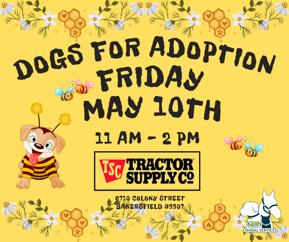 Upcoming Adoption Events | Animal Services, Kern County
