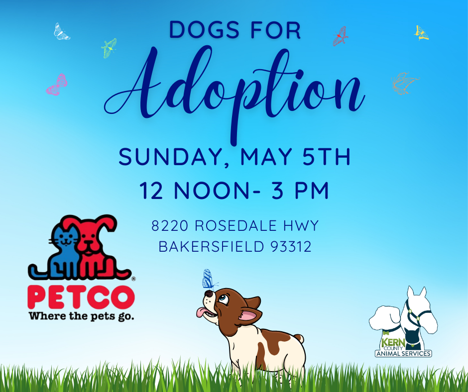 Upcoming Adoption Events | Animal Services, Kern County