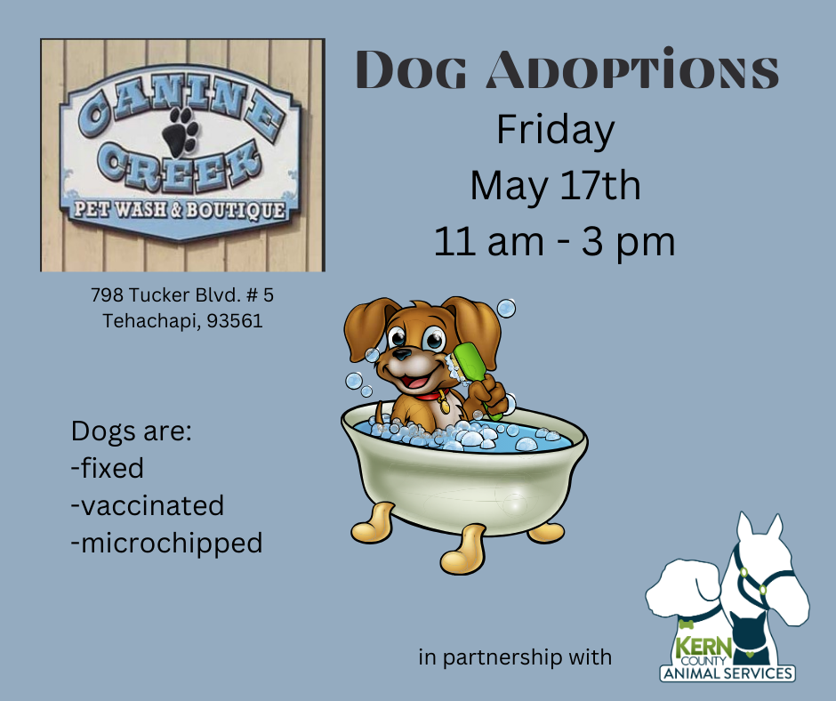 Upcoming Adoption Events | Animal Services, Kern County